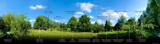 Botanischer Garten Salzburg